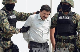 Mỹ-Mexico thảo luận dẫn độ trùm tội phạm El Chapo 