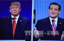 Các ứng viên Donald Trump, Ted Cruz “ghi điểm” trong cuộc tranh luận thứ 6