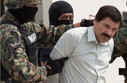 Cuộc vượt ngục của trùm ma túy El Chapo khuynh đảo phòng vé  