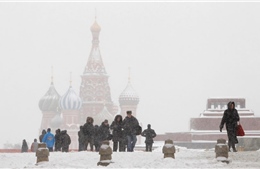 Hàng trăm chuyến bay tại Nga bị hủy do thời tiết xấu 