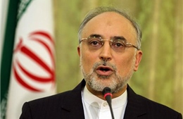 Iran quyết xây 2 nhà máy điện hạt nhân mới