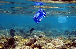 Năm 2050, rác thải nhựa sẽ nhiều hơn cá đại dương