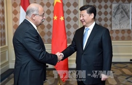 Ông Tập Cận Bình: Trung Quốc không can thiệp vào Trung Đông