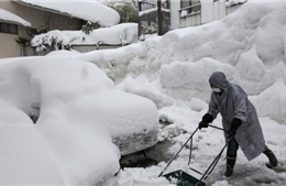 Nhiều người thương vong do thời tiết giá lạnh tại Nhật Bản