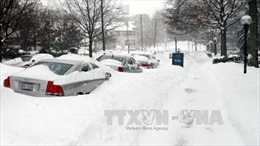 Mỹ nỗ lực khắc phục hậu quả siêu bão tuyết "Snowzilla" 