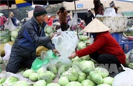 Rét hại, giá rau xanh ở Hà Nội tăng 30-40% 
