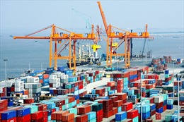 Triển vọng to lớn FTA giữa Việt Nam và Liên minh Kinh tế Á Âu 