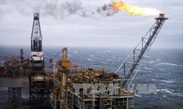 WB dự báo giá dầu ở mức 37 USD/thùng năm 2016 