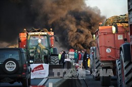 Nông dân Pháp kéo máy cày đi biểu tình 