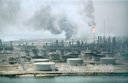  Nga sẵn sàng thảo luận với OPEC biện pháp ứng phó giá dầu