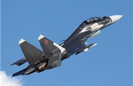 Nga sẽ điều thêm máy bay Su-30 tới Crimea trong 2016