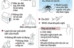 Những cách tự bảo vệ gia đình khỏi virus Zika