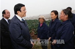 Chủ tịch nước thăm và chúc Tết tại Hưng Yên, Hà Nam 