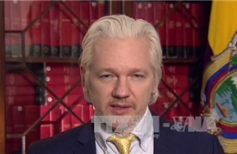 Cha đẻ  WikiLeaks sẵn sàng tự nộp mình cho cảnh sát 