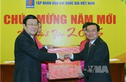 Chủ tịch nước chúc Tết Tập đoàn Dầu khí Quốc gia Việt Nam