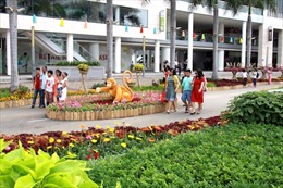 Người Sài Gòn nô nức du xuân ở hội hoa xuân 