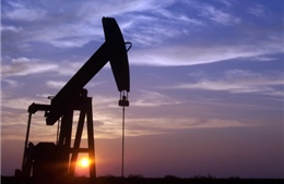 OPEC ủng hộ tiến hành họp khẩn cấp theo đề xuất của Venezuela