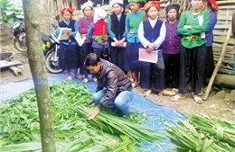 Những trí thức trẻ bản lĩnh, nhiệt huyết