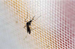 Trung Quốc ghi nhận trường hợp nhiễm virus Zika đầu tiên 