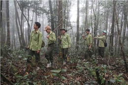 Đắk Lắk tăng cường giám sát, bảo vệ rừng trong mùa khô 
