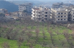 Quân đội Thổ Nhĩ Kỳ nã đạn vào lực lượng chính phủ Syria