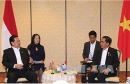 Thủ tướng Nguyễn Tấn Dũng gặp Tổng thống Indonesia