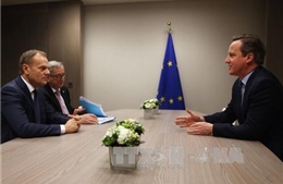 Anh, EU chưa đạt được kết quả nào trong ngày họp đầu tiên