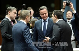 Thủ tướng Séc lo ngại trước viễn cảnh Anh rời EU  