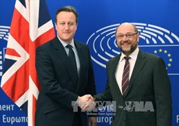 EU nhất trí về thỏa thuận giữ Anh ở lại
