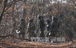 Hàn Quốc xác nhận Triều Tiên tập trận bắn đạn thật