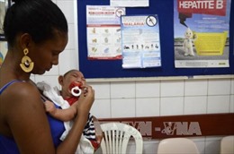 Brazil lập "lực lượng tí hon" chống Zika