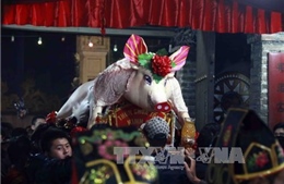 Tưng bừng Lễ hội rước lợn La Phù, Hà Nội