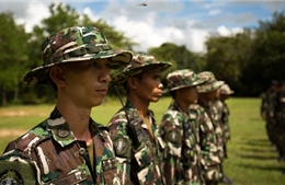 Chiến tranh “gỗ máu” ở Thái Lan