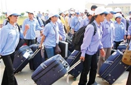Phá đường dây đưa 100 người Việt sang Hàn Quốc bất hợp pháp