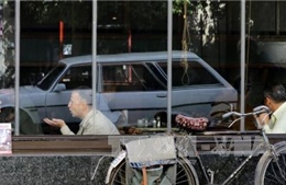 Lệnh ngừng bắn tại Syria bị vi phạm