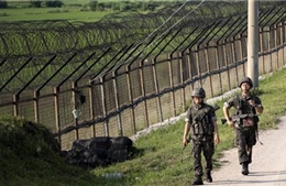Thuyền viên Trung Quốc “qua mặt" hàng rào an ninh vào Hàn Quốc
