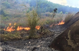 Đồng Nai khống chế đám cháy rừng suốt 2 ngày