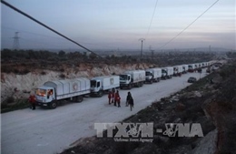 Hàng cứu trợ "ung dung" vào Syria sau lệnh ngừng bắn 