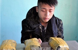 Quảng Ninh: Bắt giữ đối tượng vận chuyển trái phép 3 kg ma túy