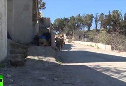 Phóng viên Nga "sợ xanh mặt" khi bị pháo kích tại Syria