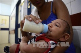Số trẻ sơ sinh di tật đầu nhỏ tại Brazil tiếp tục tăng