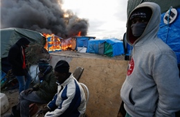 Pháp mạnh tay xóa "rừng tị nạn" Calais 