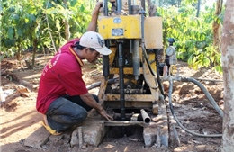 Tây Nguyên gồng mình chống hạn