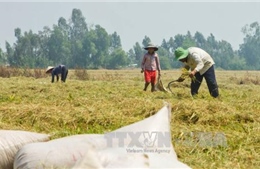 ĐBSCL thiệt hại do thủy điện trên dòng chính sông Mekong