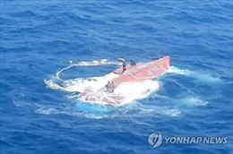 Hàng chục tàu, máy bay Hàn Quốc tìm kiếm 6 thuyền viên Việt   