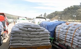 Lào dự kiến xuất khẩu 1 triệu tấn gạo năm 2016