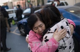 ICAO thay đổi quy định hàng không sau vụ MH370 