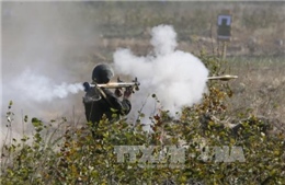 Ukraine thừa nhận chưa sẵn sàng gia nhập NATO