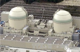 Nhật Bản sẽ tái khởi động các lò phản ứng hạt nhân