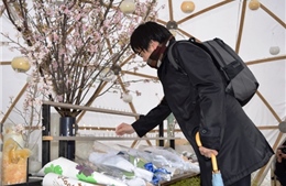 Nhật Bản tưởng niệm 5 năm thảm họa động đất, sóng thần 